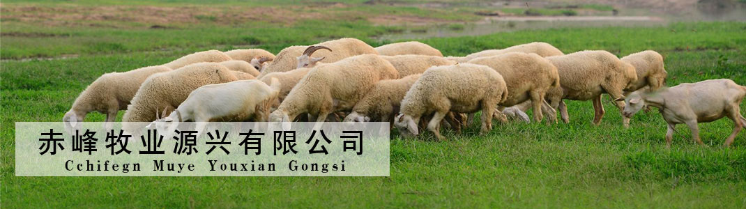 力豹潤(rùn)滑油
